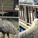 종해농장 이미지