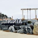 트리피아 키즈풀빌라 이미지