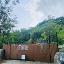 멍숲 네이버블로그