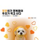 놀러오개 애견유치원 애견호텔 김해점 | 🏆 전국 1위! 강아지가 행복한 공간, 놀러오개 김해점! 🏡🐶✨
