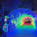 별빛랜드 이미지