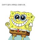 (주)케이오지 이미지