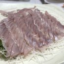 청주군산활어 이미지