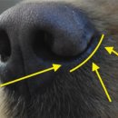 아이튼튼 동물병원 이미지