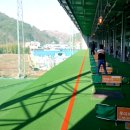 새미스포렉스 이미지