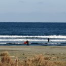 큰산농장 | 미야자키 여행 후기｜아오시마 서핑 구경부터 츠카다 농장까지 알차게 즐긴 하루