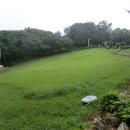 탄금대궁도장 이미지