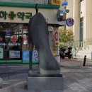 오리지날모다필 이미지