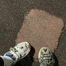 문화근린공원 이미지