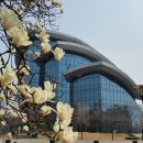 성대역공인중개사사무소 Daum카페