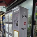 24시꽃 이미지