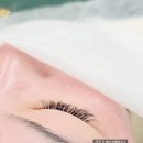 백제고분로63앞 | 송파 속눈썹연장 에이민브로우 유지력 좋네요 추천 후기