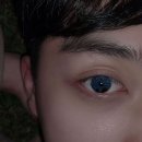 블루오션