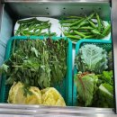 용문산농장쌈밥마을 이미지