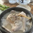 [송화 삼계탕] 검단 신도시 보들보들 영계 삼계탕 맛집