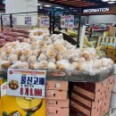 대진할인마트 | 운정 대진 식자재 마트 : 김장 준비로 북적이는, 장보기 현장