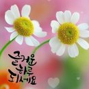 건강한날 Daum카페