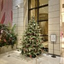 계림다방 | 파라다이스시티 숙박 + 뷔페(디너) 내돈내산 솔직 후기