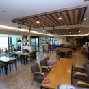 대구애견 이미지