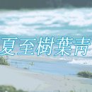 하레루 이미지