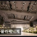 다올라페니체