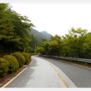 속리산말티재자연휴양림 이미지