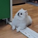 우등농장 | 이 정도면 꽤 괜찮았던 10월