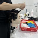 이윤헤어 이미지