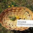 라탄공예 네이버블로그