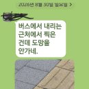 일요일 아침 ..길에서 만난 뜻밖의 손님 이미지