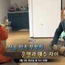 월악산약초민박 이미지