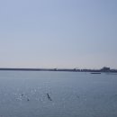 태광회수산 이미지