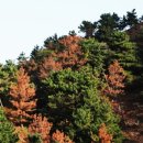 포항농약종묘사 이미지