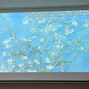 하남초(해바라기공원2) | 그림 읽어주는 남자 “이창용의 반 고흐 미술기행” 후기