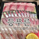 테크노 | 활고등어회 맛집 등푸른 테크노폴리스본점 찐 후기