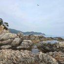 항구가누리펜션 | 강원도 삼척 장호항, 항구와 해수욕장 그리고 스노클링 명소 산책기