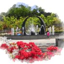 학마을공원 바닥분수 이미지