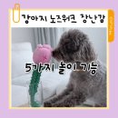 애견스케치 | 강아지 노즈워크 장난감 도그스케치 애견 장난감 5in1 노즈워크 로즈 후기