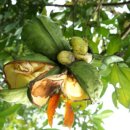 코카콜라_서 이미지