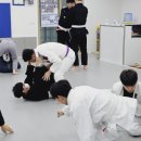 락스타도르주지수 종합격투기 | 주짓수 { 2024년 대전 주지수 초급반 정규 수업 개강...화학연구원 인턴 후기 대전 자운대 운동 추천...