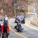 추월산로 이미지