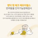 메모리펫