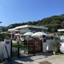 증산마을회관 | 양산 물금 애견카페 동백처럼 입장료 주차장 솔직후기
