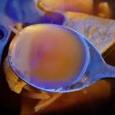 누룩꽃피는날(익산영등점) | 익산 영등동 술집 - 안주와 가성비가 대박인 "포차1번지 먹새통 영등점"