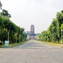 GOGO SWIMMING 이미지