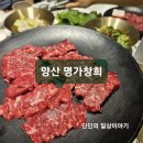 &lt;부산맛집&gt; 양산 한우 맛집, 양산 CC 맛집 &#39;명가창희&#39; 소고기전문점 내돈내산 솔직후기