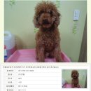 멍이사랑 이미지