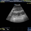 아쿠아 종합동물병원 이미지