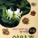 조선일보 생활/문화 "헬스조선"에 "산야초도감" 책이 "건강 서적"에 보도 되었습니다 이미지