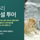 에버월드투어 이미지